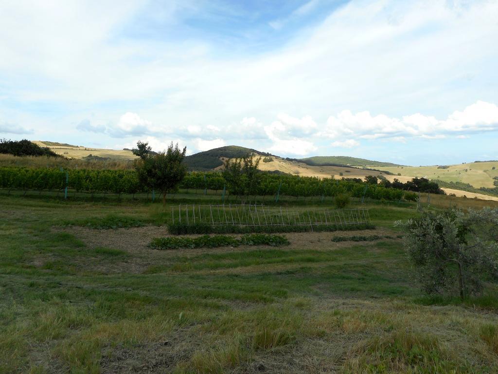 Agriturismo Santa Bruna Villa Volterra Exteriör bild